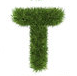 touchgrass