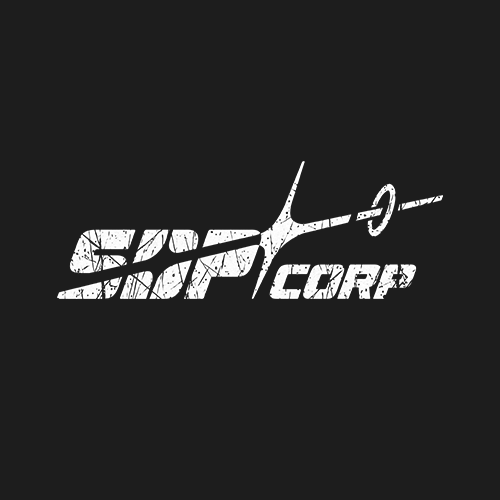 SDP Corp 오디션