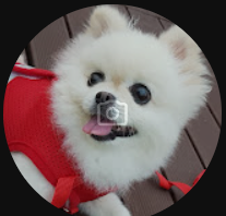 천사의편지