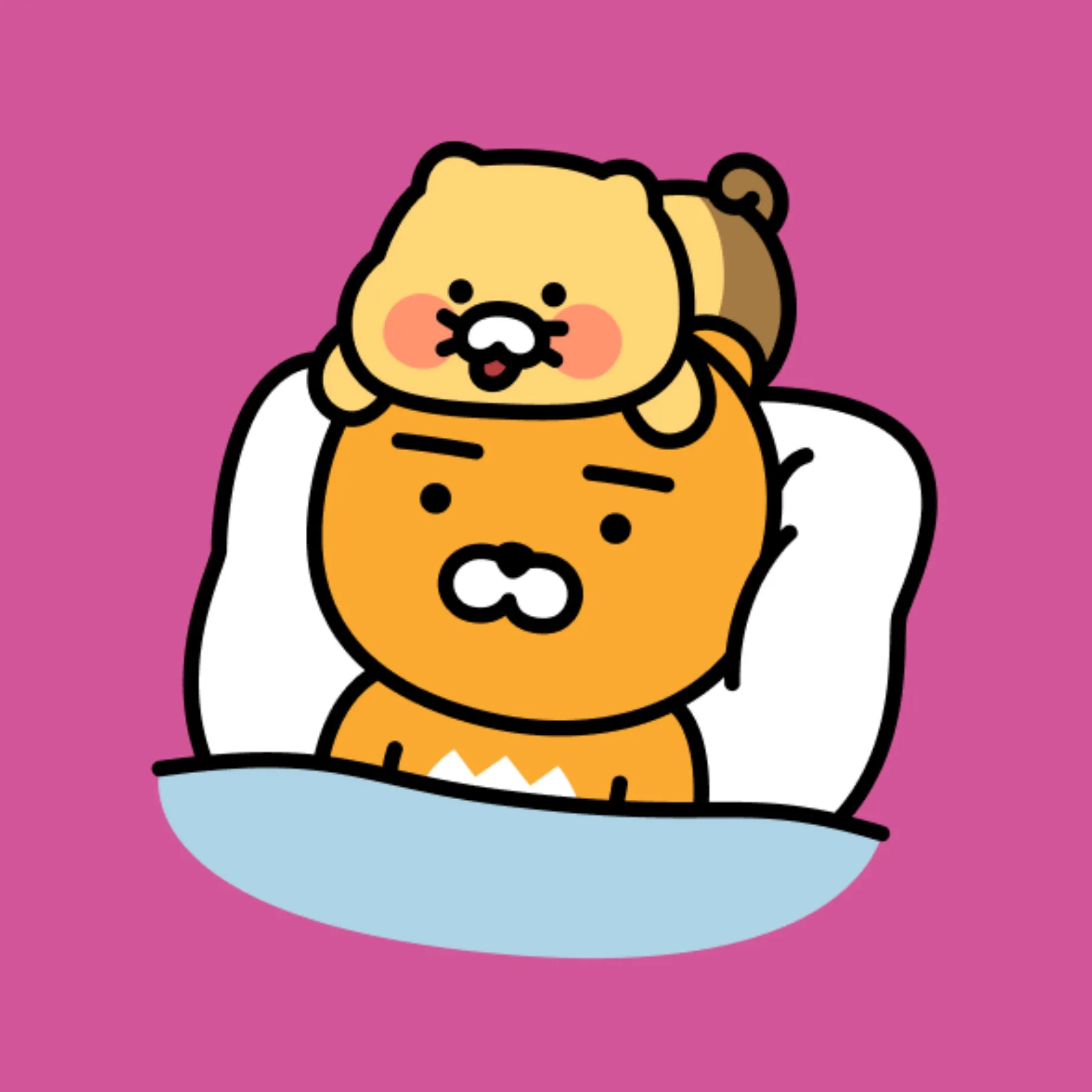 이사중대피소